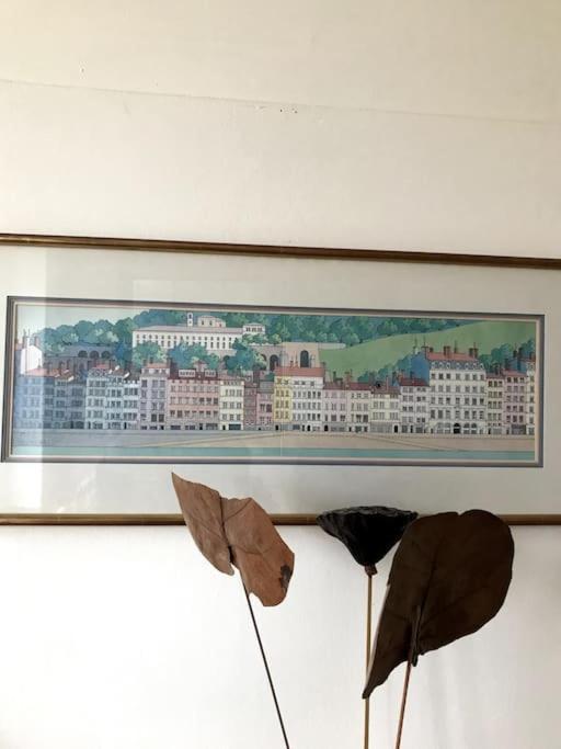 Apartamento Vue Sur L'Eau Lyon Exterior foto